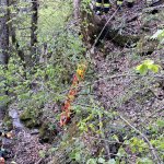 2024-04-26_monatsuebung april_061